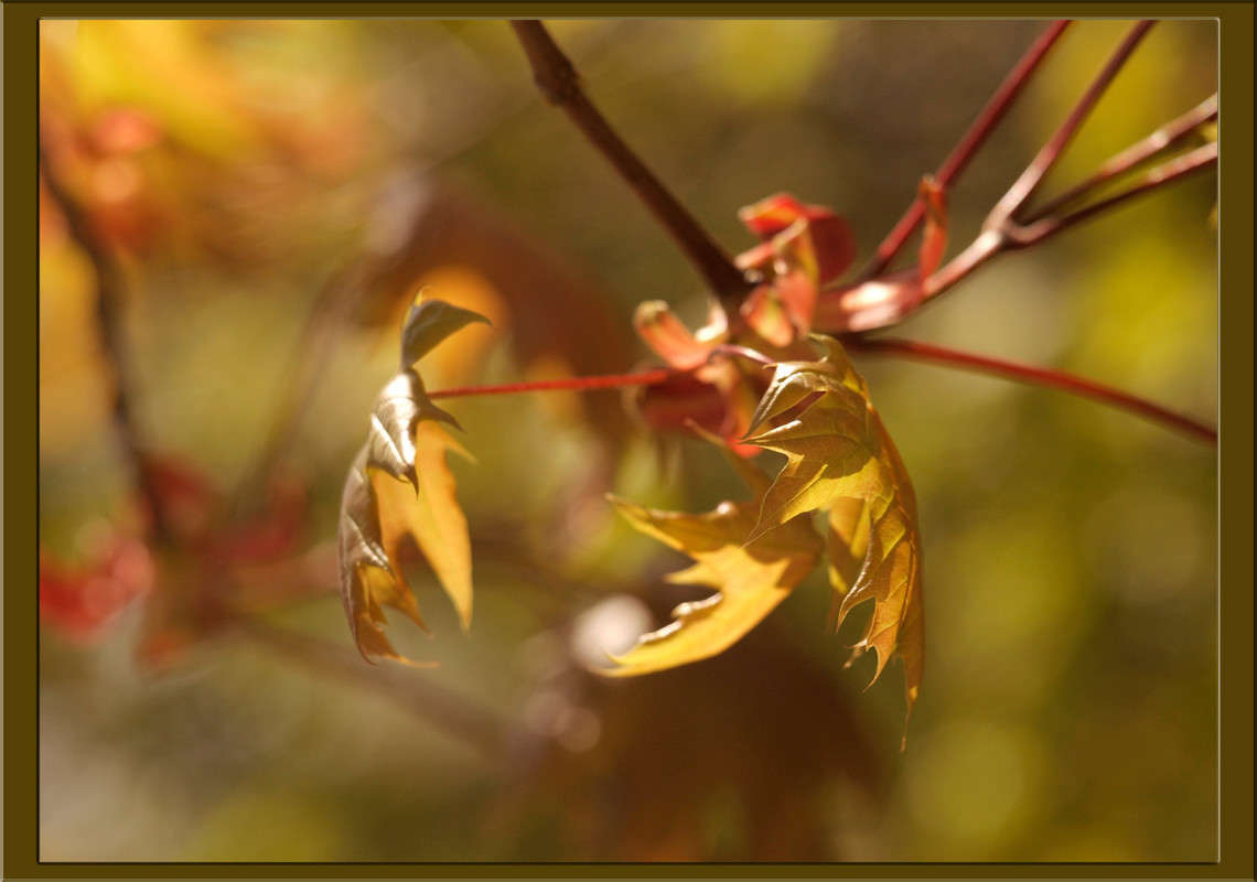 �������� ���������� 3 ����� ������  �� PhotoGeek.ru #������ ��� �������