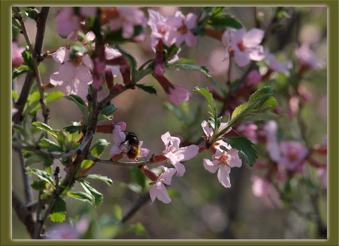 ����� 16 ����� ������  �� PhotoGeek.ru #������ ��� �������