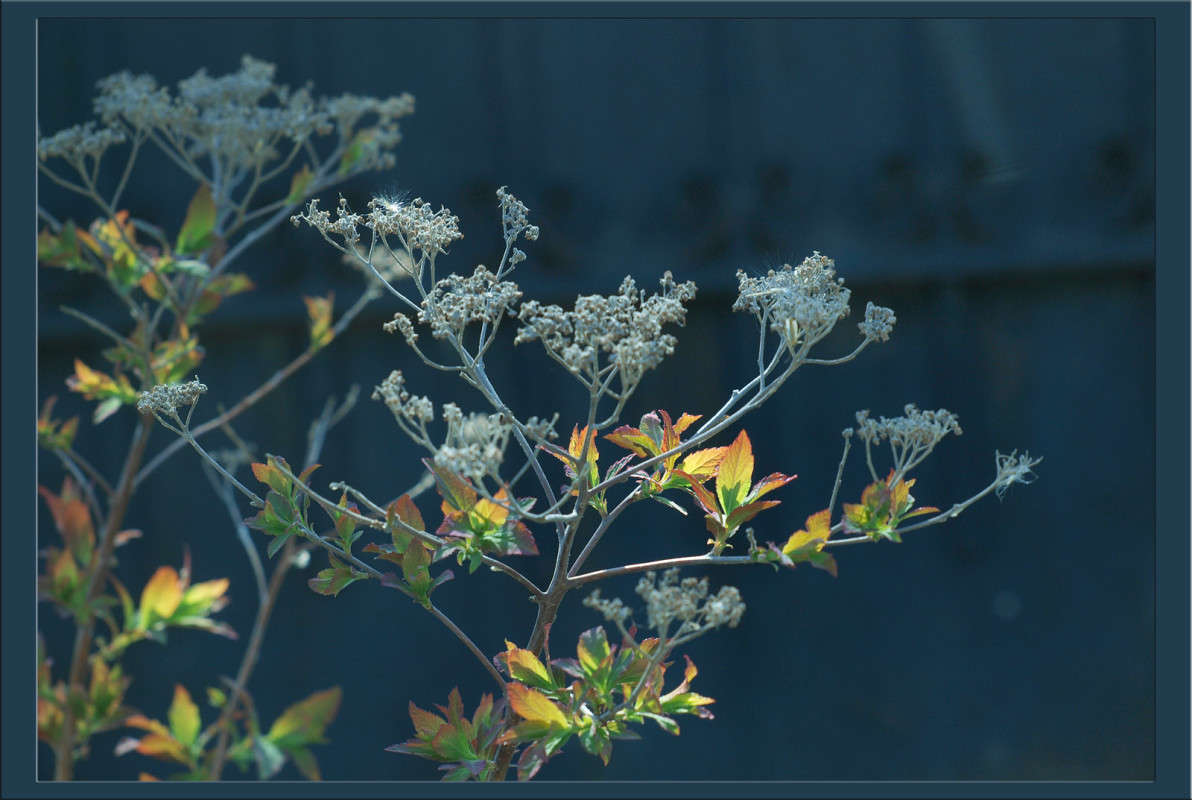 ����� 17 ����� ������  �� PhotoGeek.ru #������ ��� �������