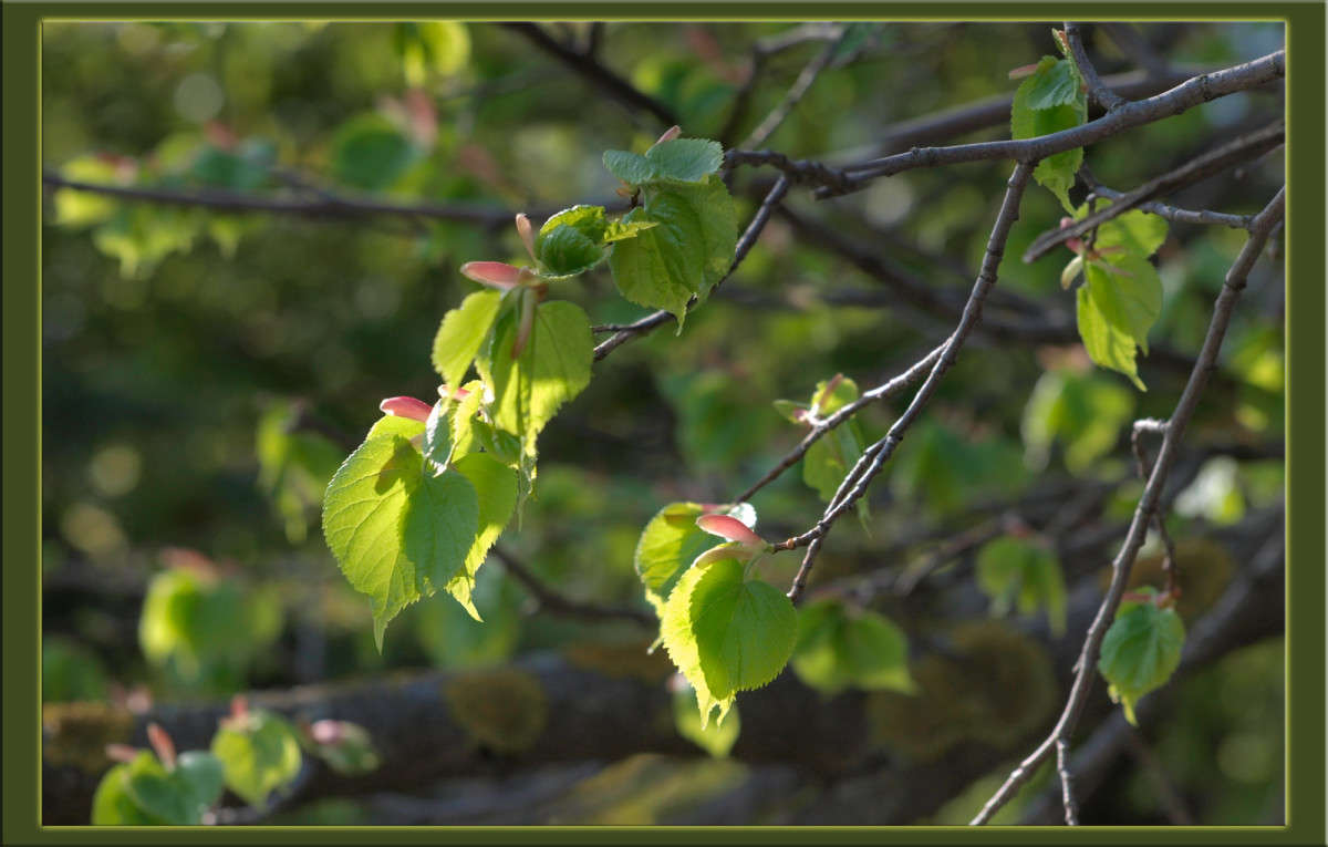 ����� 19 ����� ������  �� PhotoGeek.ru #������ ��� �������