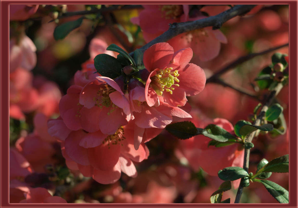 ������� ������� ����� ������  �� PhotoGeek.ru #������ ��� �������