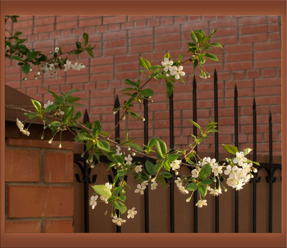 ��������� ������ ����� ������  �� PhotoGeek.ru #�����