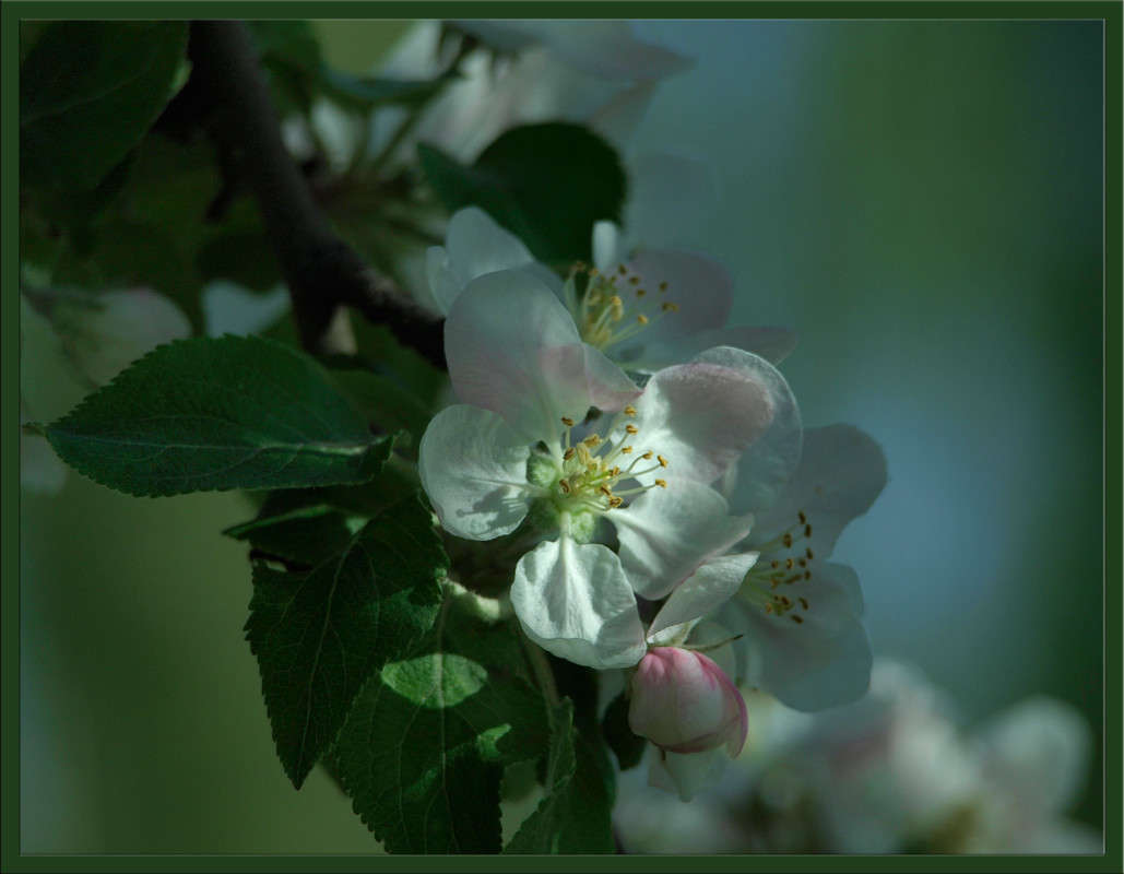 �������� ������ ����� ������  �� PhotoGeek.ru #������ ��� �������