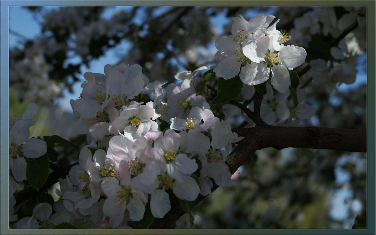 ����� 21 ����� ������  �� PhotoGeek.ru #������ ��� �������