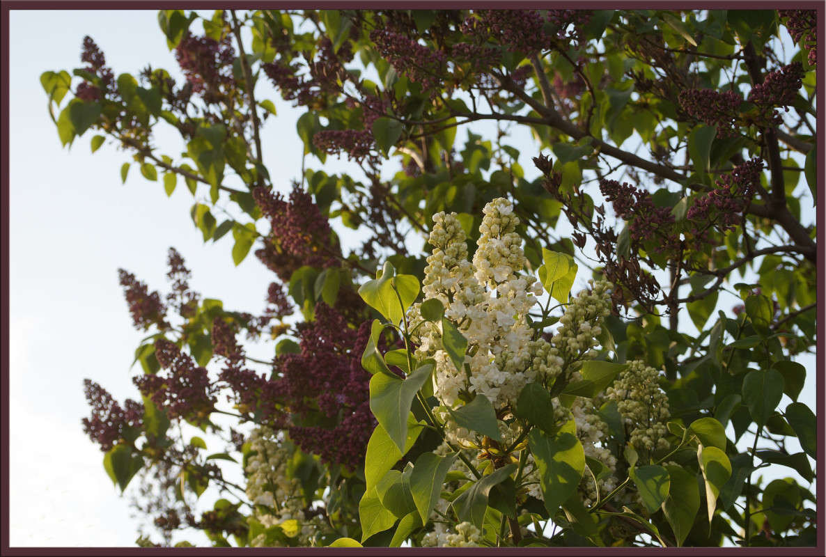 ����� �������� ����� ������  �� PhotoGeek.ru #������ ��� �������