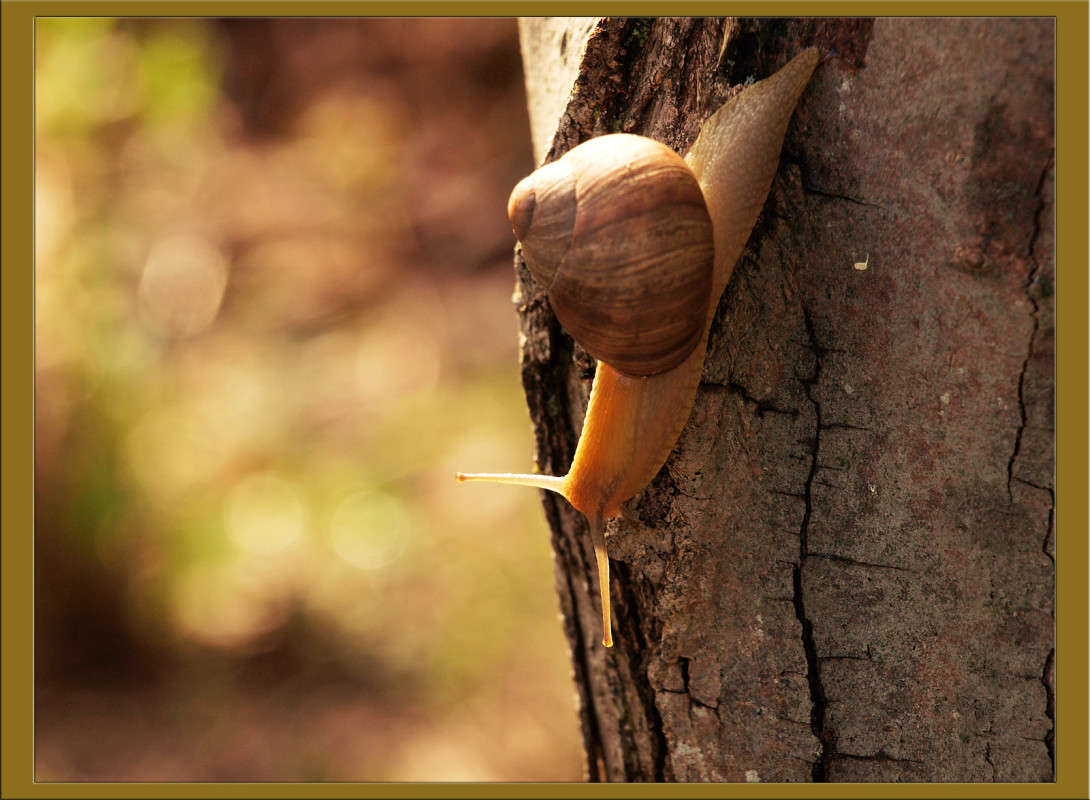 ����� 23 ����� ������  �� PhotoGeek.ru #�������� ���