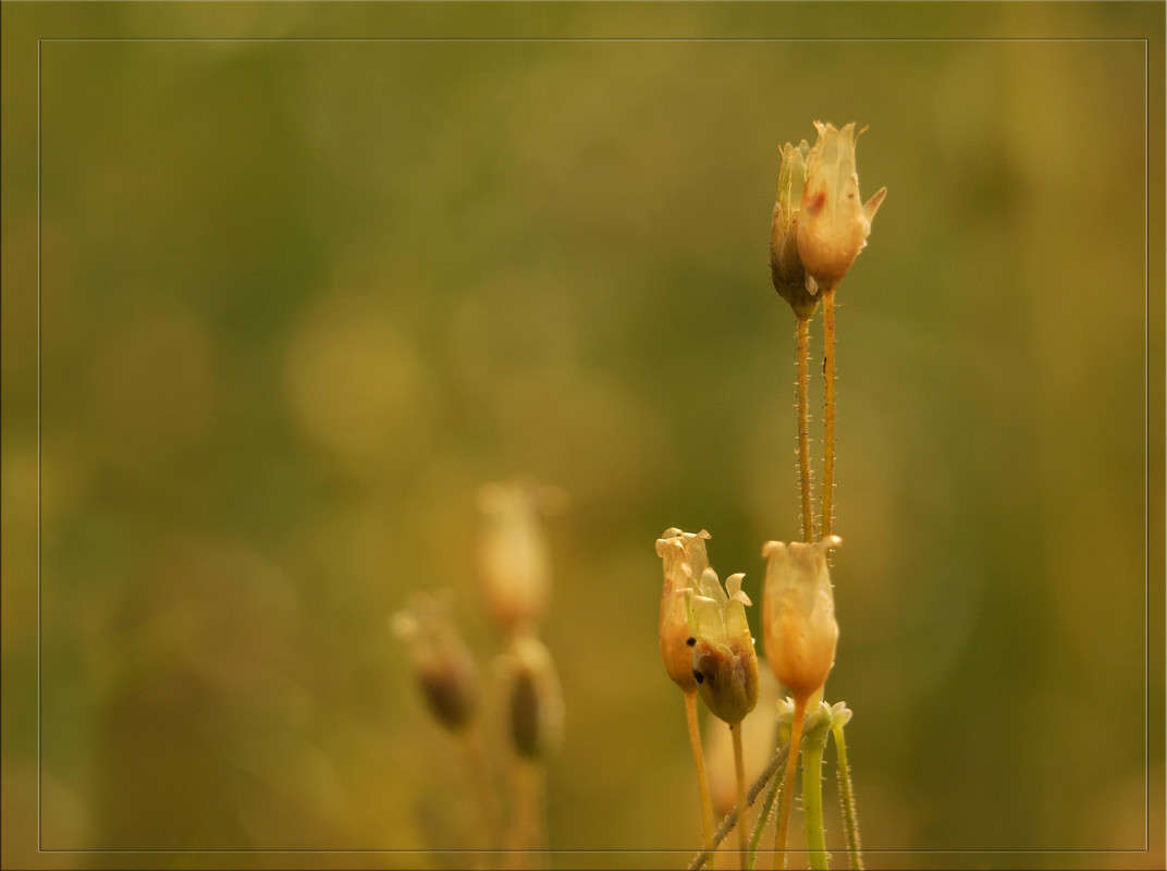 ����� 23 ����� ������  �� PhotoGeek.ru #������ ��� �������