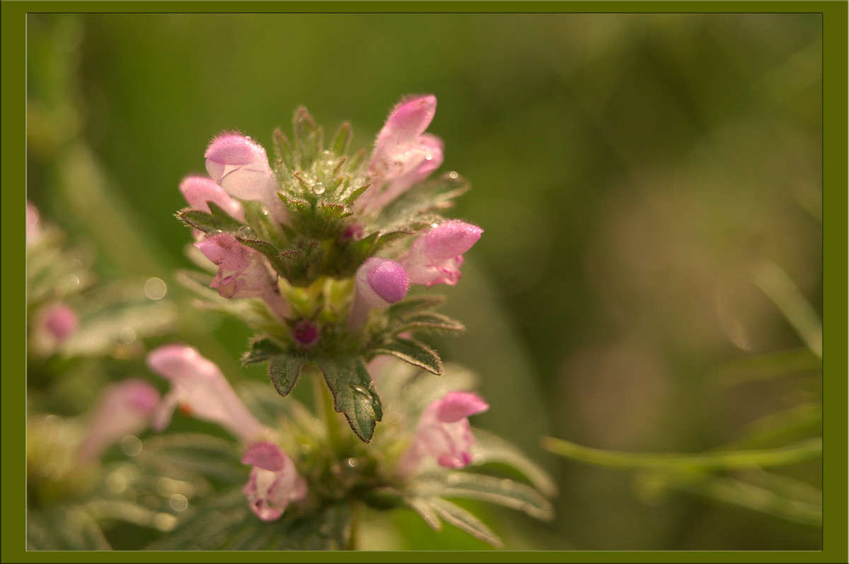 ����� 24 ����� ������  �� PhotoGeek.ru #������ ��� �������