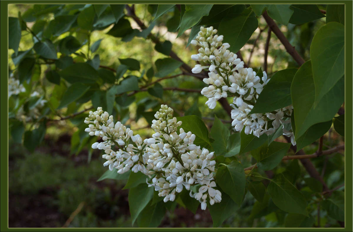 ����� 25 ����� ������  �� PhotoGeek.ru #������ ��� �������