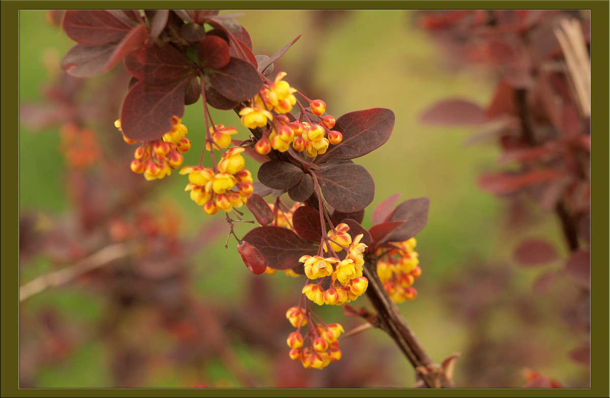 ����� 26 ����� ������  �� PhotoGeek.ru #������ ��� �������