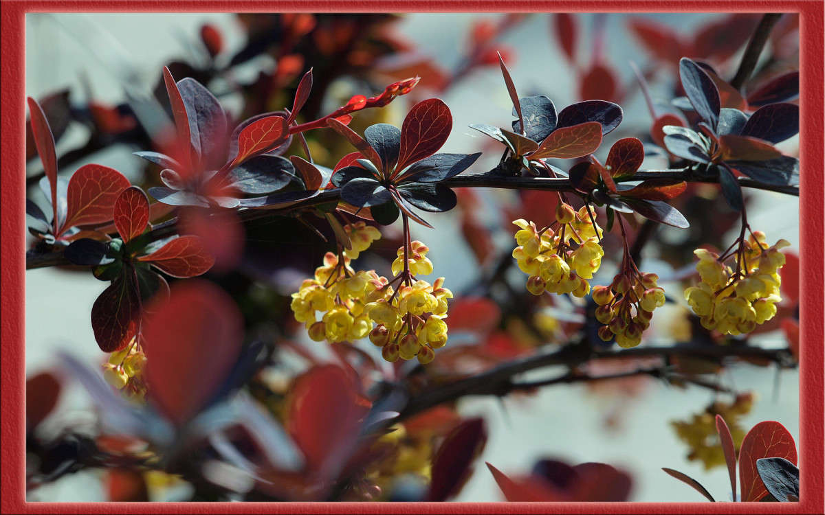 ����� 27 ����� ������  �� PhotoGeek.ru #������ ��� �������