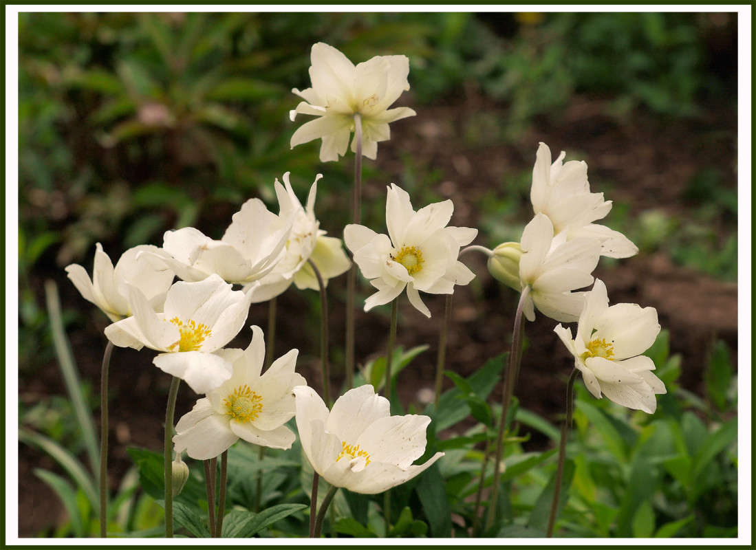 �� ������� ������� ����� ������  �� PhotoGeek.ru #������ ��� �������