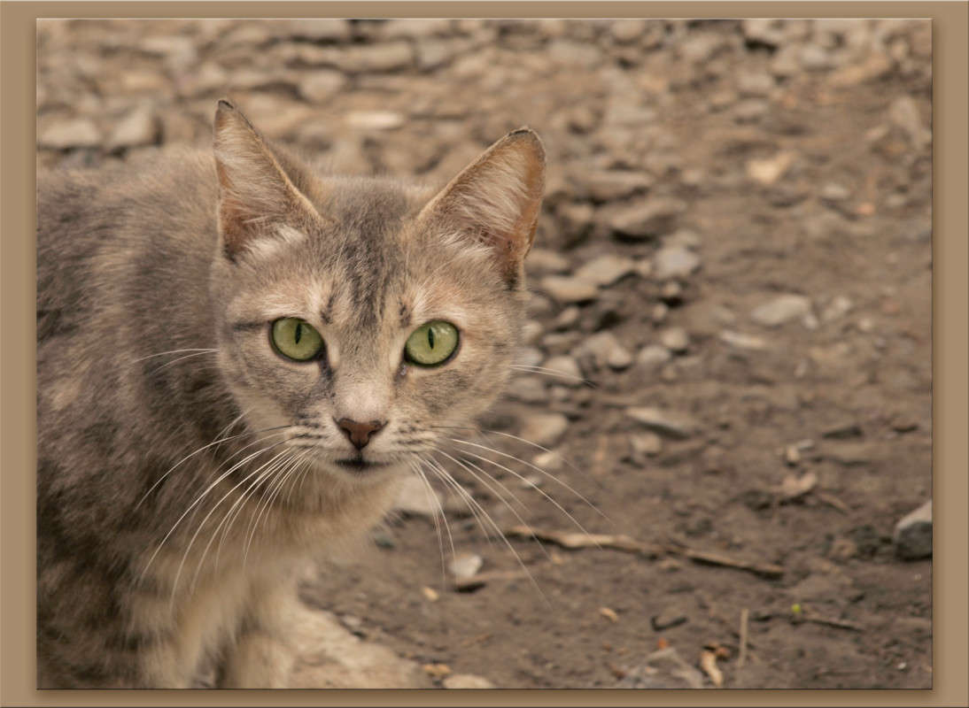 � ��� ������? ����� ������  �� PhotoGeek.ru #�������� ���