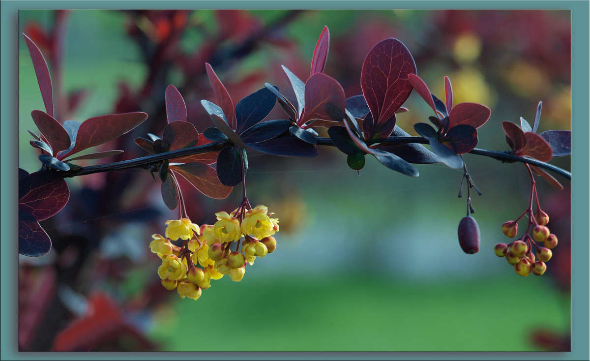 ����� 28 ����� ������  �� PhotoGeek.ru #������ ��� �������