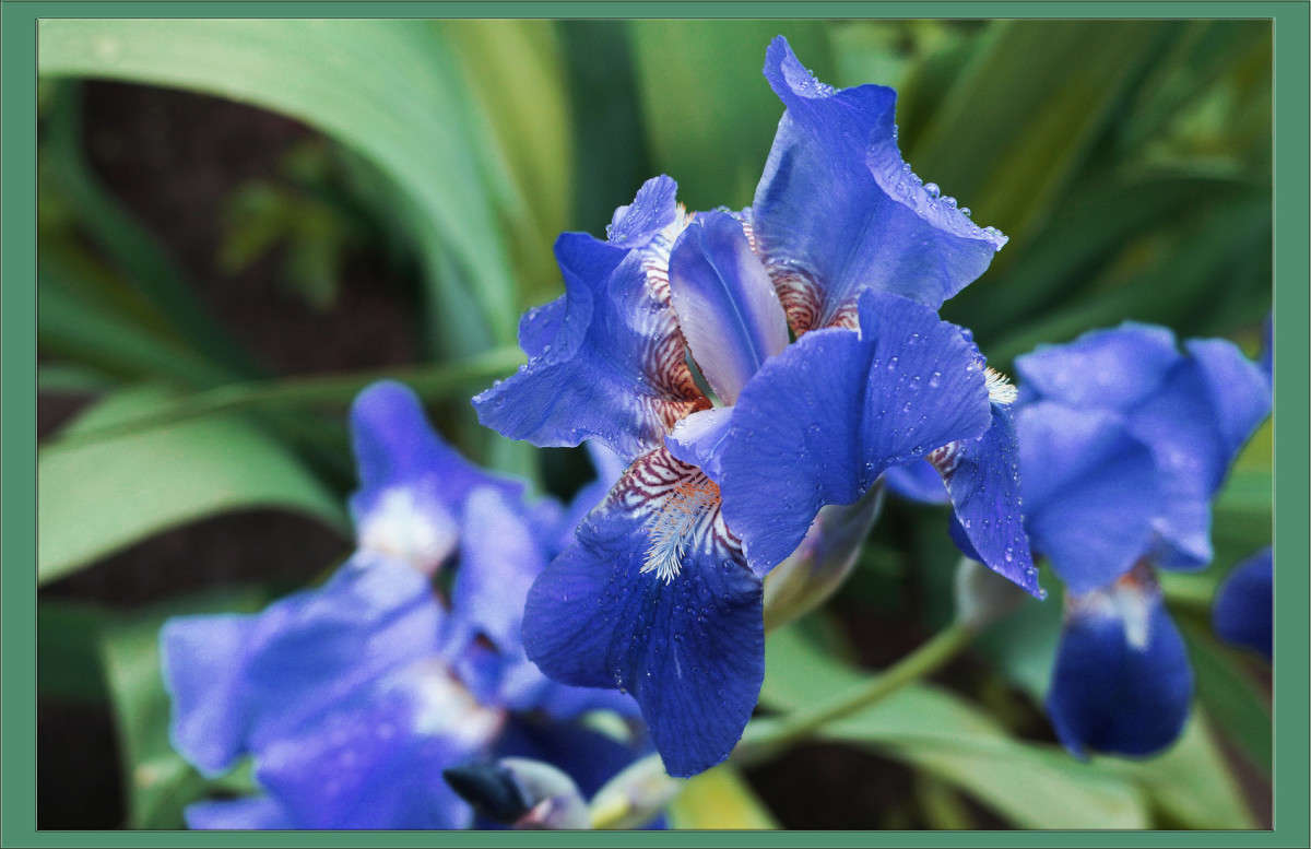 ������ ����� ������  �� PhotoGeek.ru #������ ��� �������