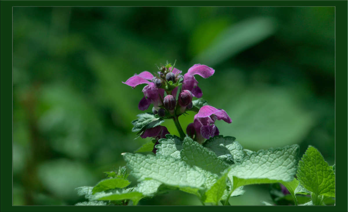 ����� 29 ����� ������  �� PhotoGeek.ru #������ ��� �������