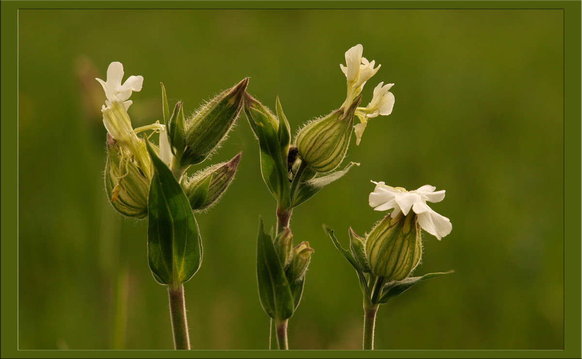 ����� 31 ����� ������  �� PhotoGeek.ru #������ ��� �������