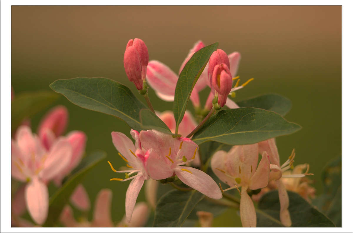 ����� 30 ����� ������  �� PhotoGeek.ru #������ ��� �������