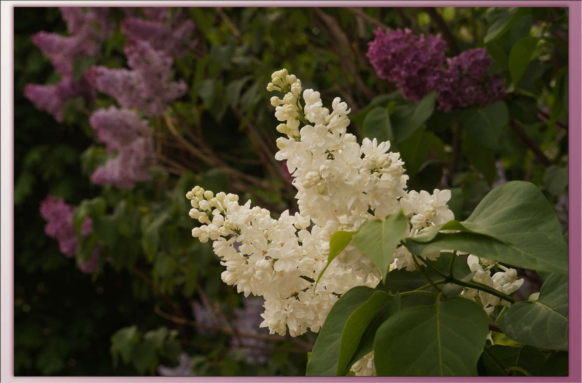 ����� �������� 2 ����� ������  �� PhotoGeek.ru #������ ��� �������