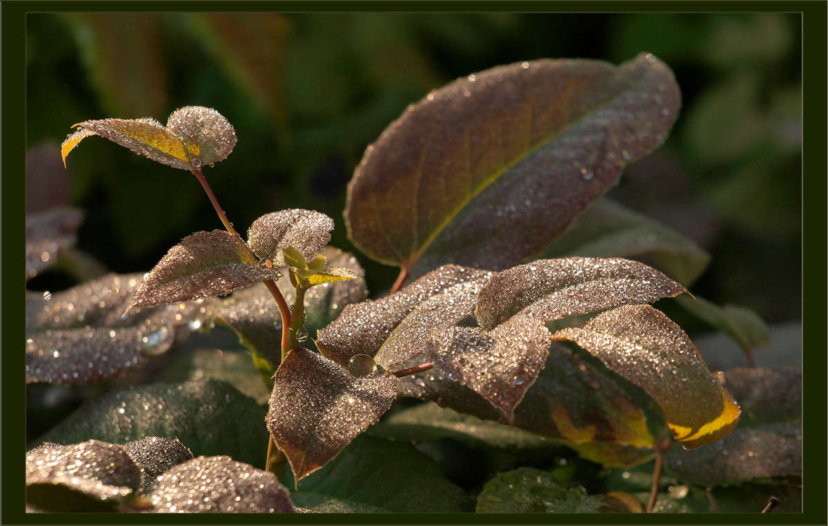 ���� ����� ����� ����� ������  �� PhotoGeek.ru #������ ��� �������