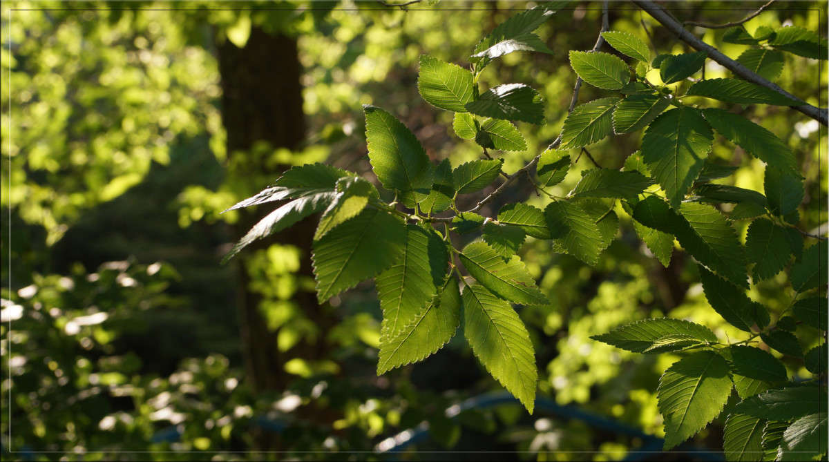 �� �������� ����� ����� ������  �� PhotoGeek.ru #������ ��� �������