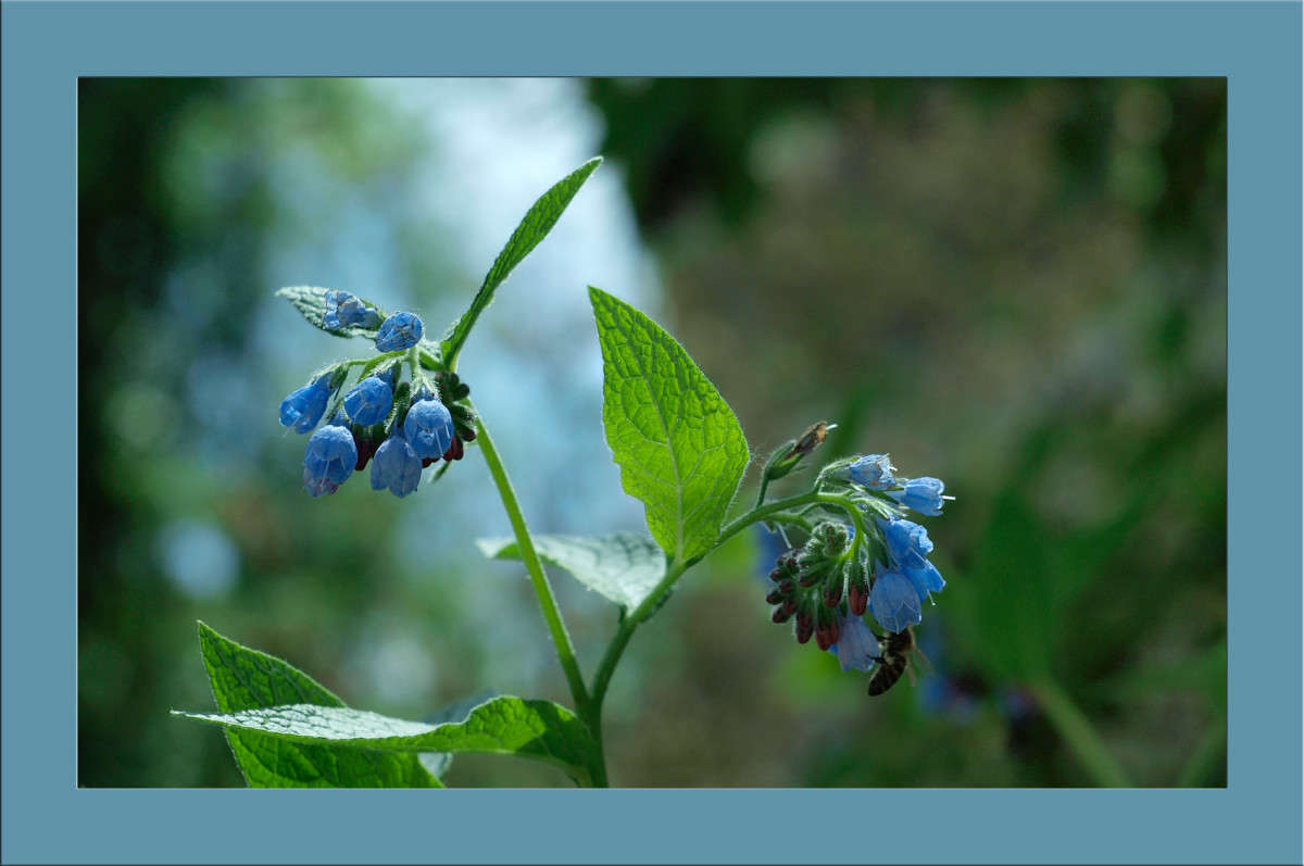 ������������ 2 ����� ������  �� PhotoGeek.ru #������ ��� �������