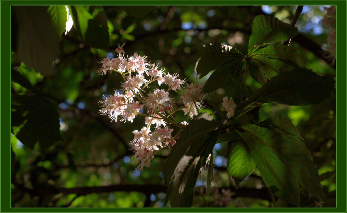 ������� ������ ����� ������  �� PhotoGeek.ru #������ ��� �������