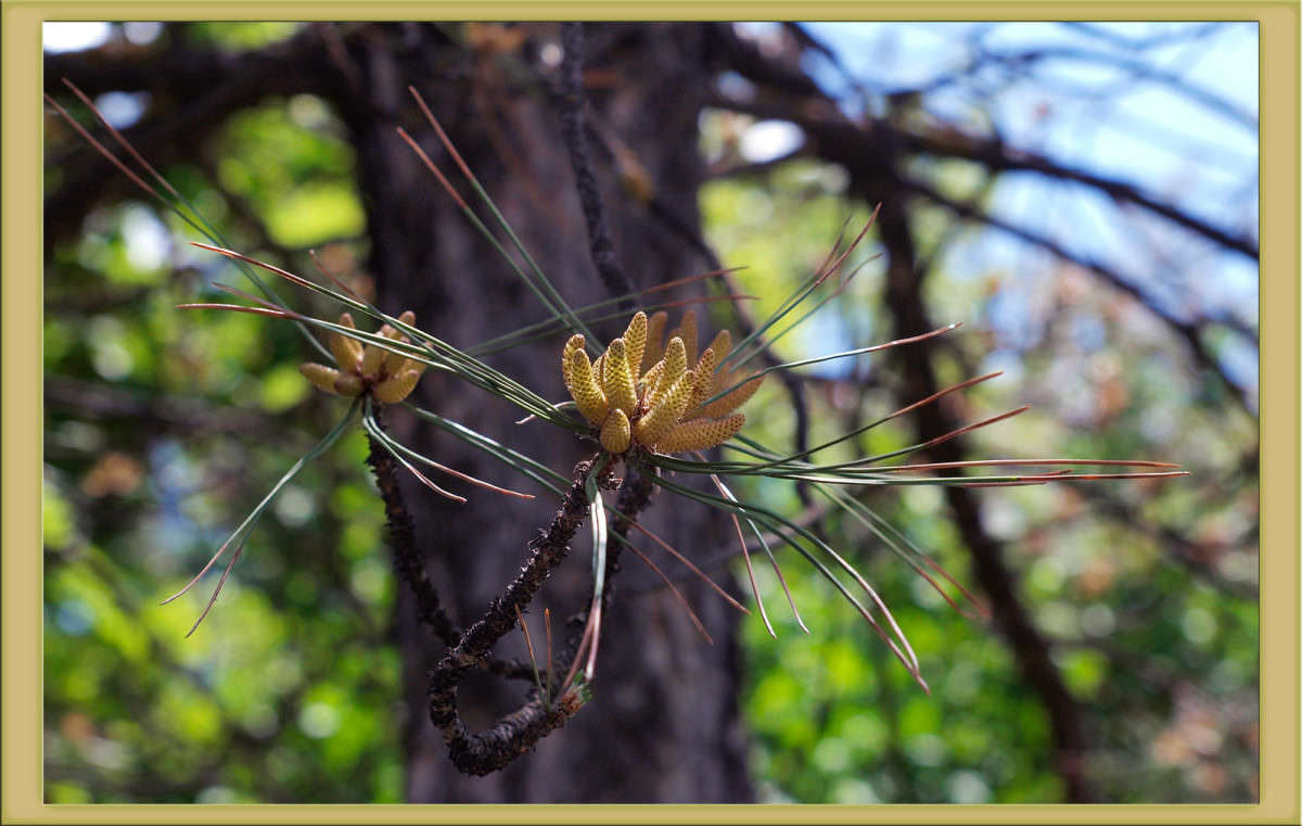 ����������� ����� ����� ������  �� PhotoGeek.ru #������ ��� �������