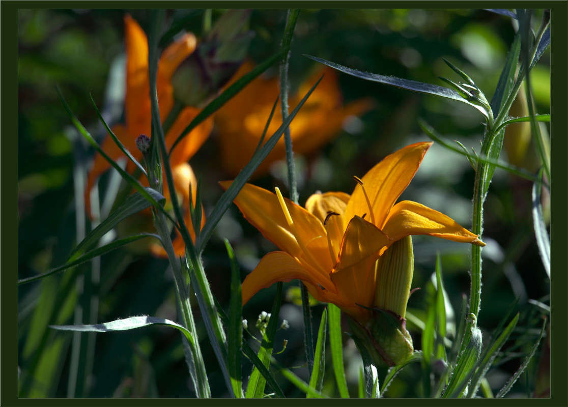 ���������� ����� ������  �� PhotoGeek.ru #������ ��� �������