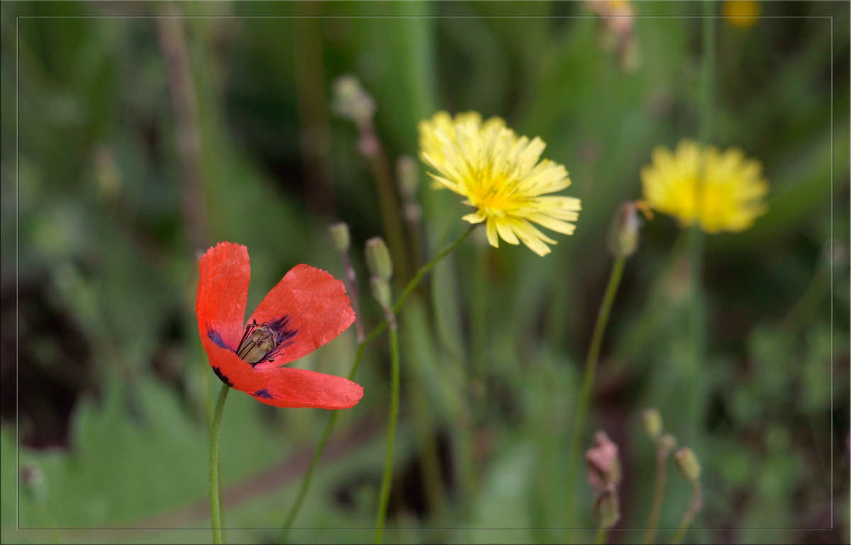 ������� ����� ������  �� PhotoGeek.ru #������ ��� �������