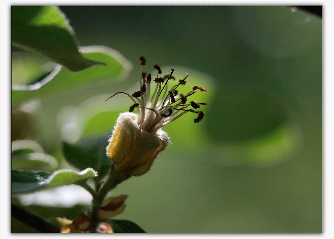 ������� ���� ����� ������  �� PhotoGeek.ru #������ ��� �������