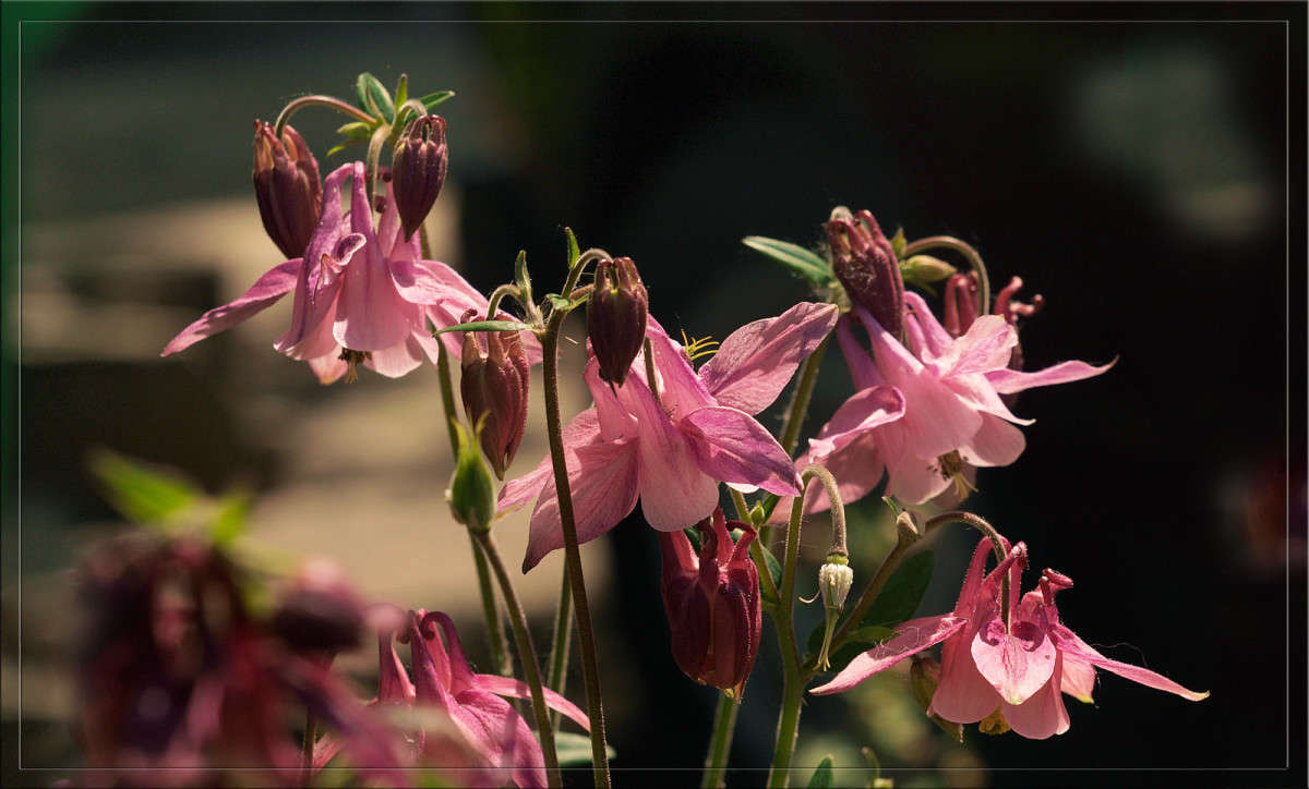 ������� ����� ������  �� PhotoGeek.ru #������ ��� �������