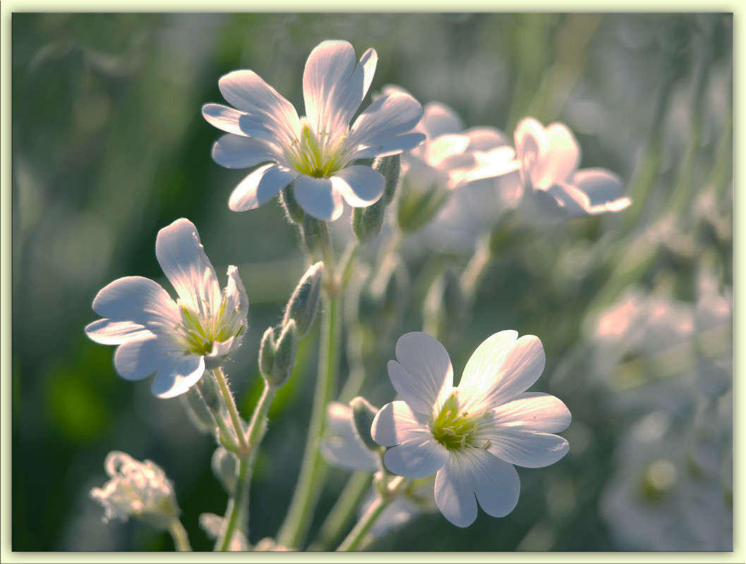 ��� �� ����� ����� ������  �� PhotoGeek.ru #������ ��� �������