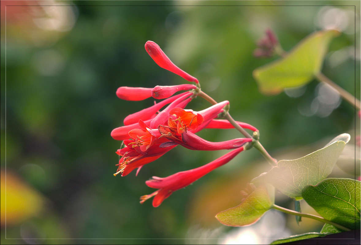 ��� �� ����� 3 ����� ������  �� PhotoGeek.ru #������ ��� �������