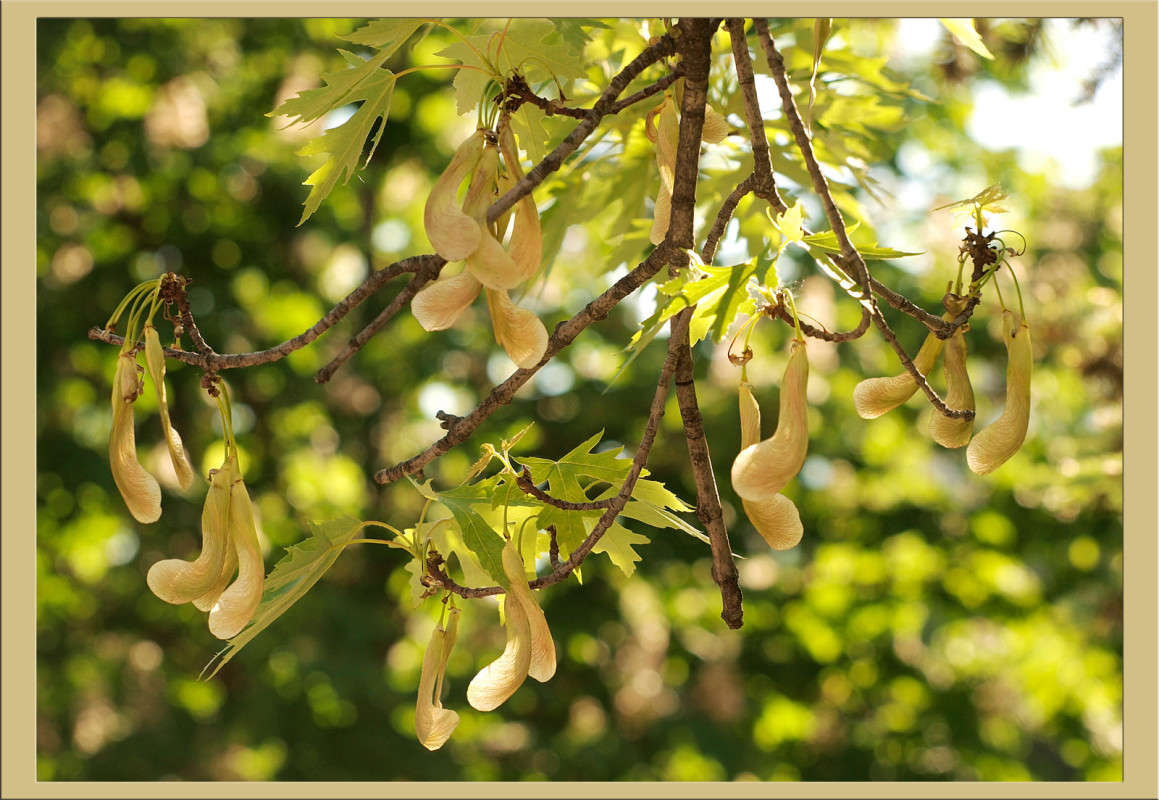 ��������� ����� ������  �� PhotoGeek.ru #������ ��� �������