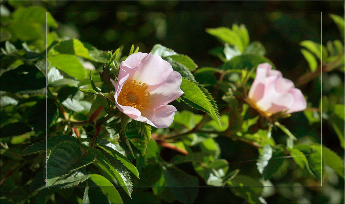 �������� ������ ����� ������  �� PhotoGeek.ru #������ ��� �������