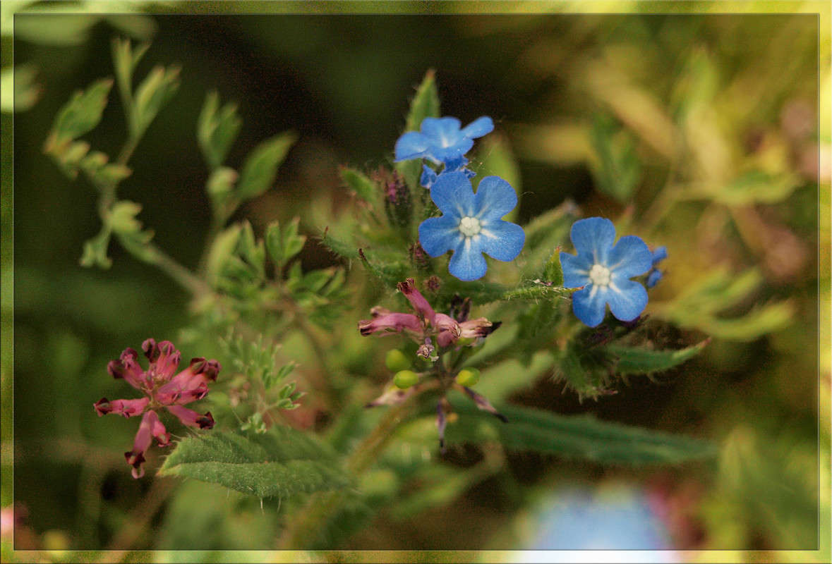 �� ������ ����� ������  �� PhotoGeek.ru #������ ��� �������