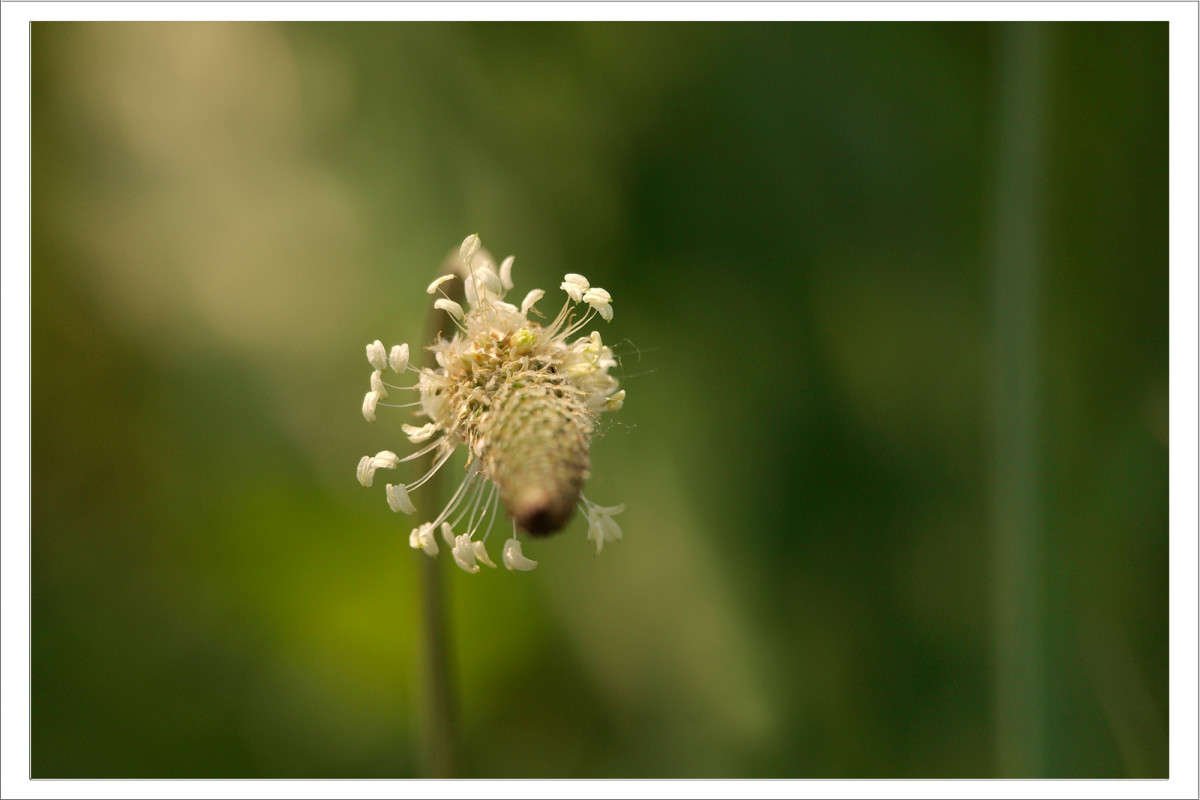 ��� �� �� ����� ����� ������  �� PhotoGeek.ru #������ ��� �������