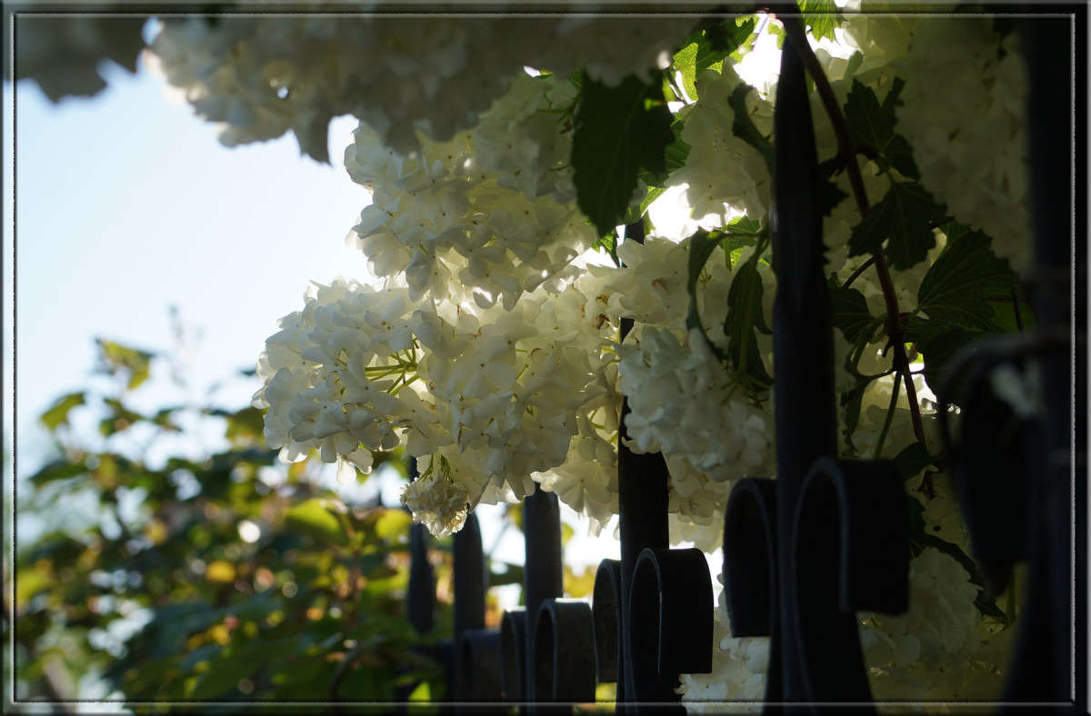 ����� ����� ����� ������  �� PhotoGeek.ru #������ ��� �������