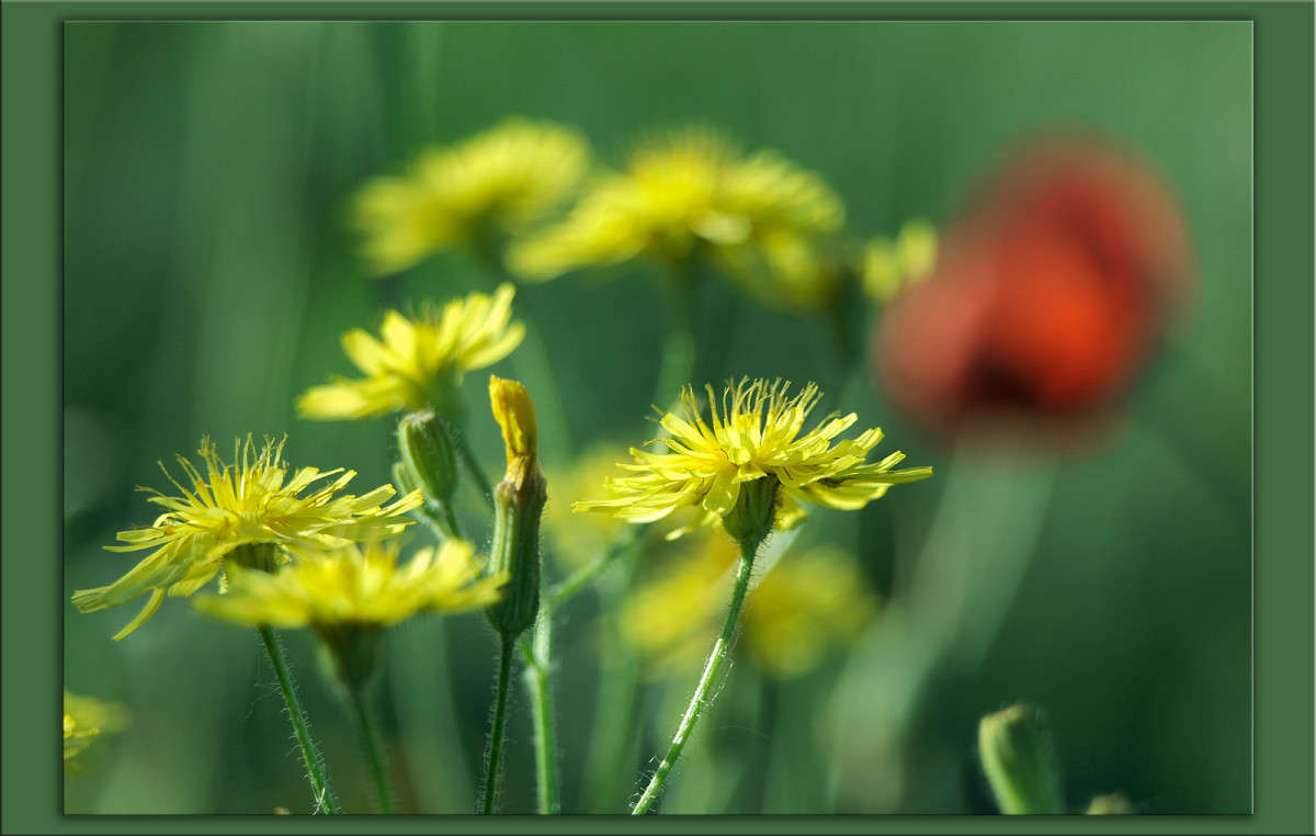 � ������ ���� 2 ����� ������  �� PhotoGeek.ru #������ ��� �������