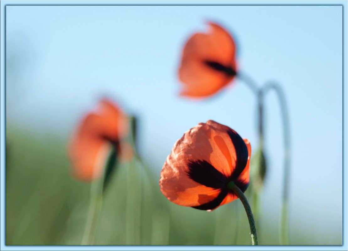 � ������ ���� 3 ����� ������  �� PhotoGeek.ru #������ ��� �������