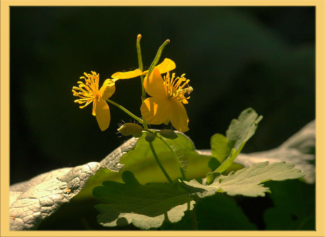 �� �������� �������� ����� ������  �� PhotoGeek.ru #������ ��� �������