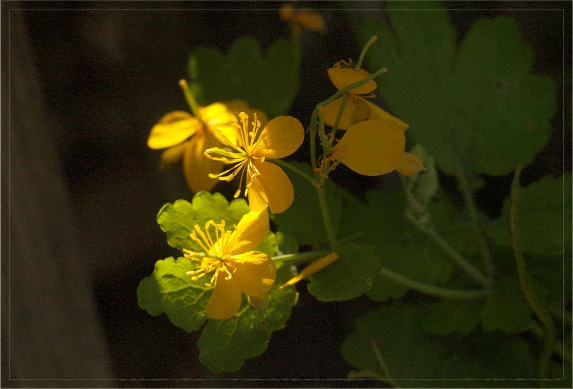 �� �������� �������� 2 ����� ������  �� PhotoGeek.ru #������ ��� �������