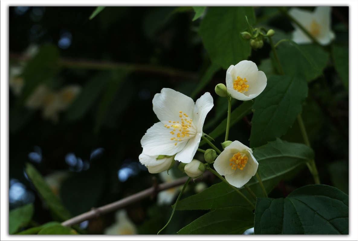 �������� ����� ������  �� PhotoGeek.ru #������ ��� �������