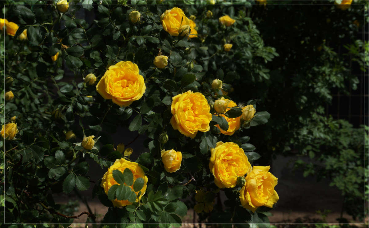 ���� � �������� ����� ������  �� PhotoGeek.ru #������ ��� �������