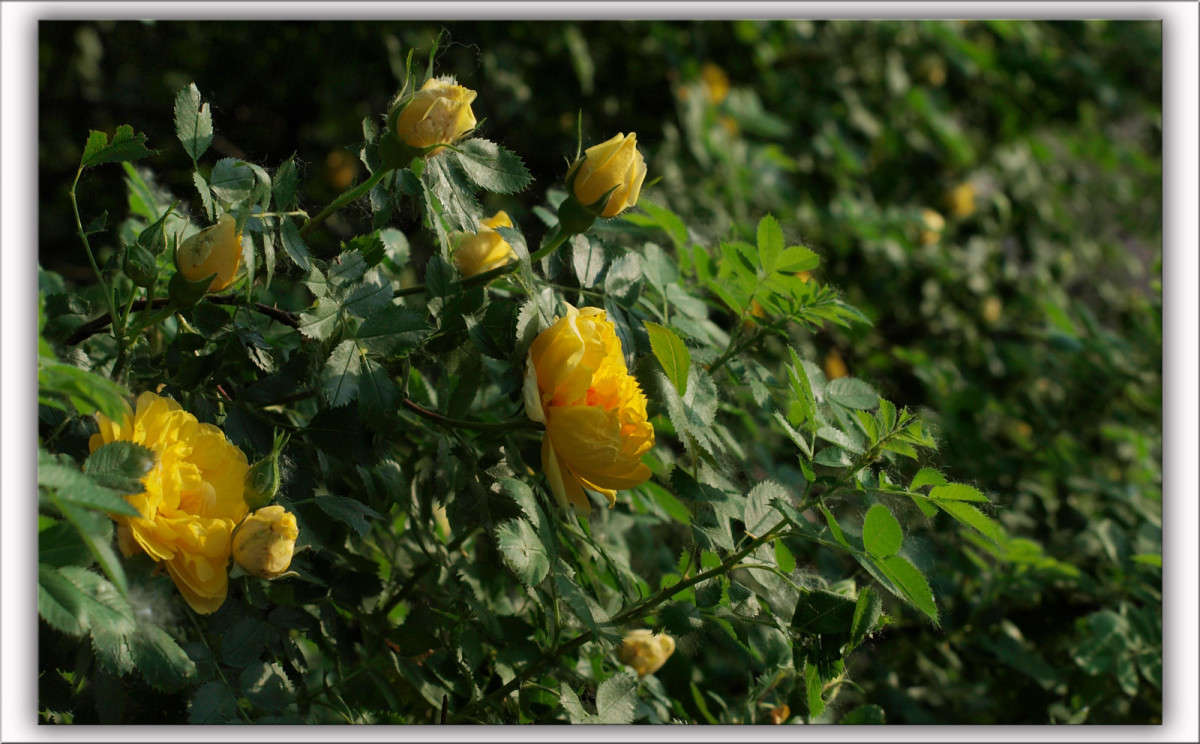 ���� ������ ��� ����� ������  �� PhotoGeek.ru #������ ��� �������