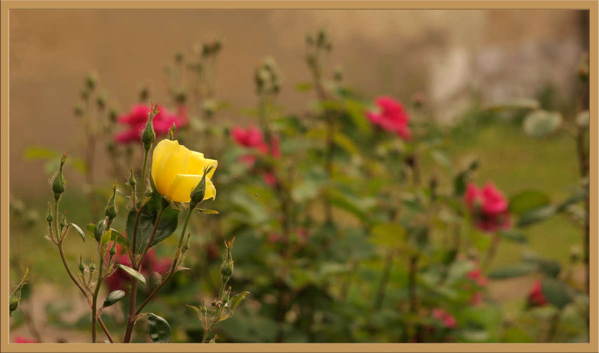 �������� �����.... ����� ������  �� PhotoGeek.ru #������ ��� �������