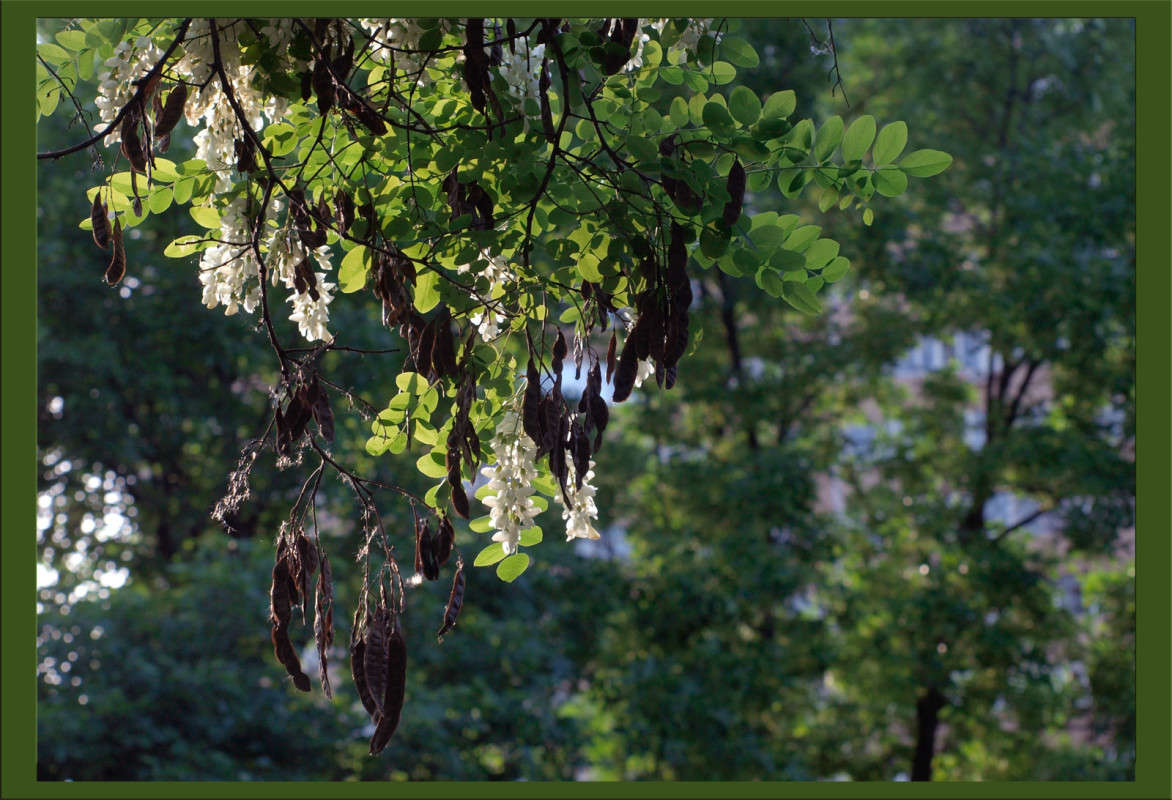 ��������� ��� 3 ����� ������  �� PhotoGeek.ru #������ ��� �������