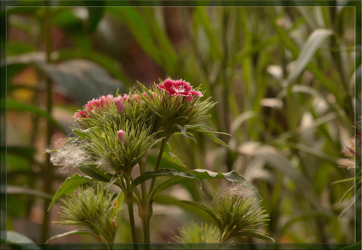 ��������� ��� 2 ����� ������  �� PhotoGeek.ru #������ ��� �������