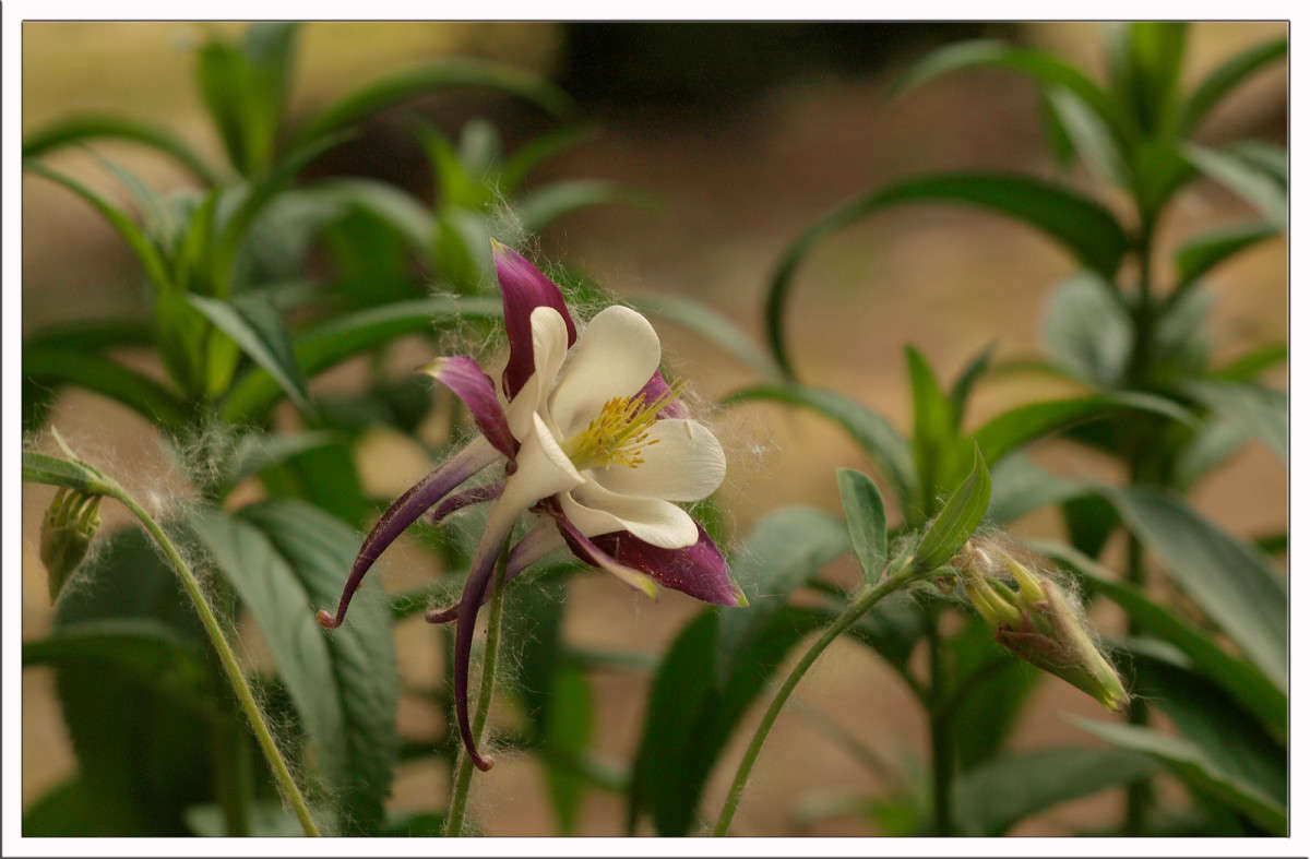 ��������� ��� ����� ������  �� PhotoGeek.ru #������ ��� �������